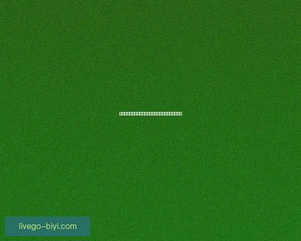 世界杯投注指南揭秘最全投注策略助你精准预测赛事结果 世界杯投注指南揭秘最全投注策略助你精准预测赛事结果