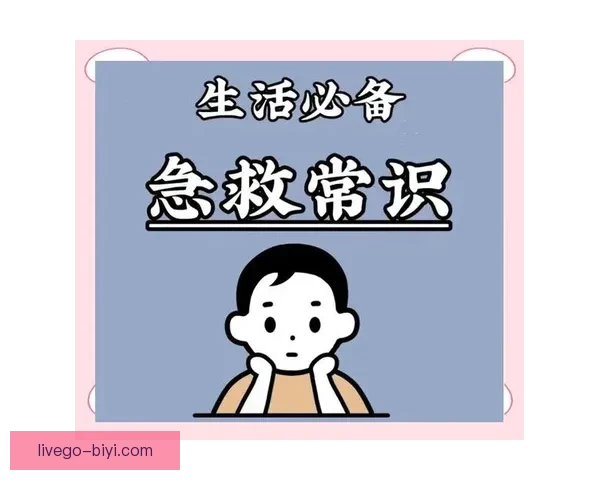 必一体育官网入口全面指南详解最新功能与安全使用方法